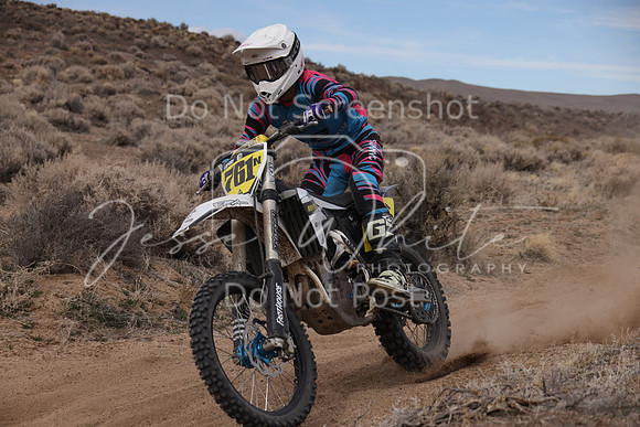 IMG_2453-761n