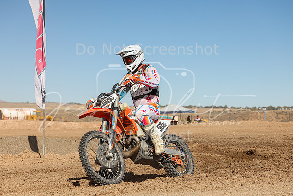 IMG_7587-565p