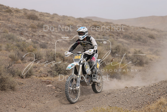 IMG_9010-321v