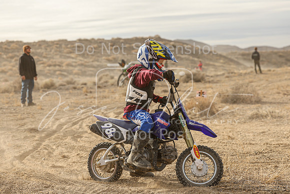 IMG_0008-98z
