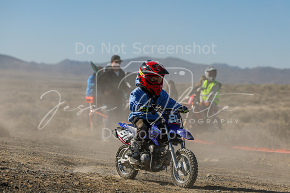 IMG_9335-81z