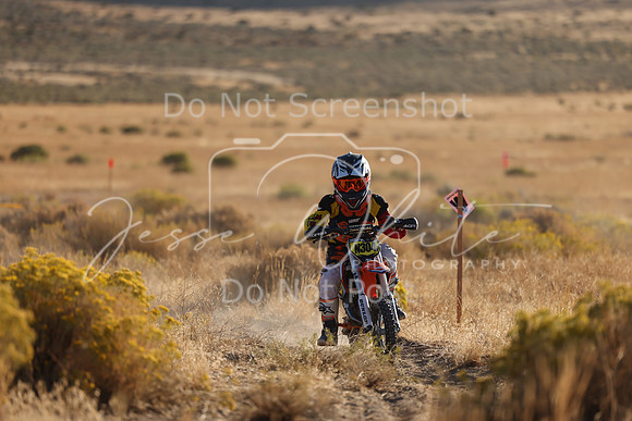 IMG_0234-n304p