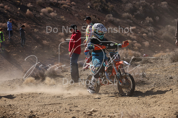 IMG_7650-11y