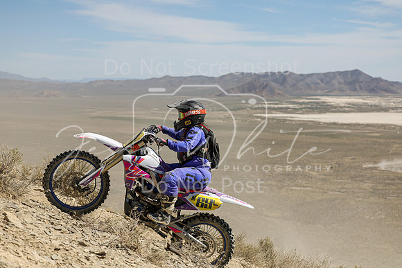IMG_3624-n69l