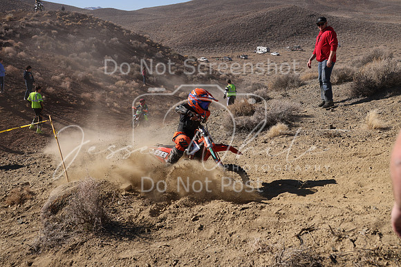 IMG_7703-88z