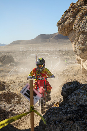 IMG_5550-517f