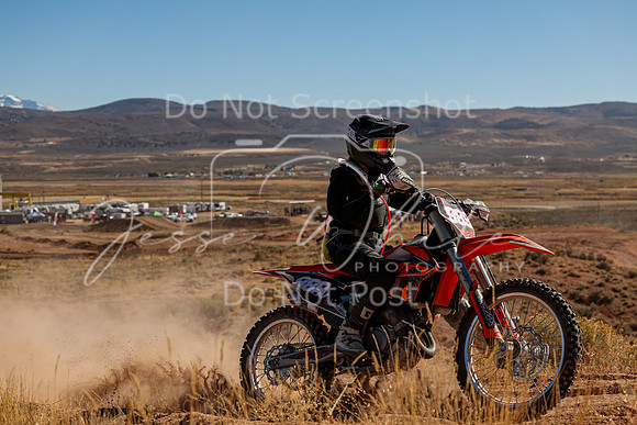 IMG_5311-989v