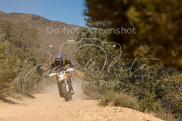 IMG_7161-6