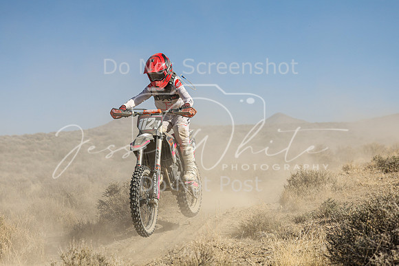IMG_7668-112a