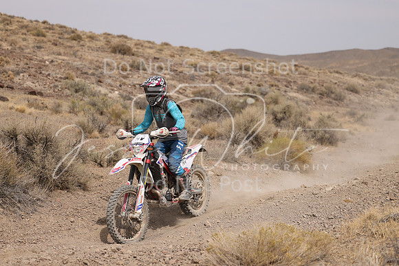 IMG_9302-74v