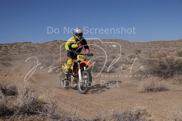 IMG_9324-802v