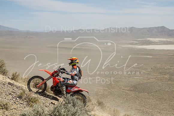 IMG_3318-nt818