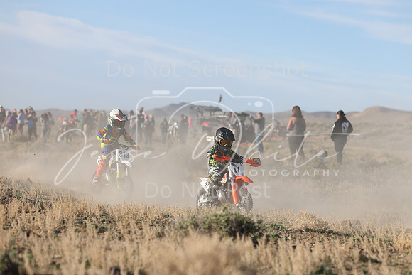 IMG_4533-41-313