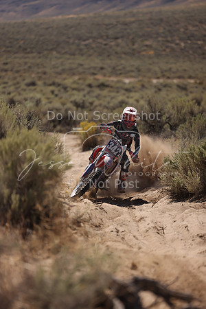 IMG_4549-342x
