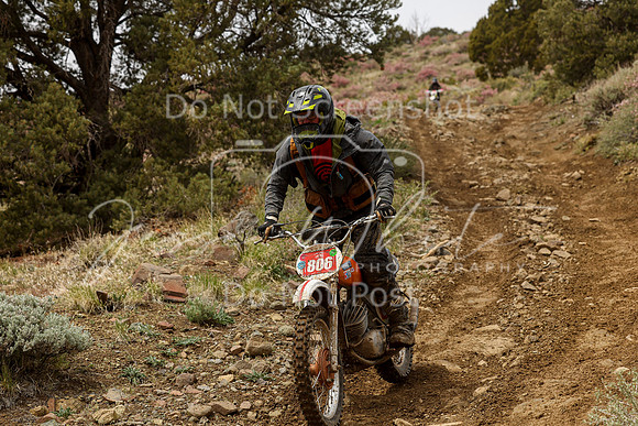 IMG_2237-806