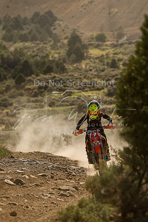 IMG_3227-7
