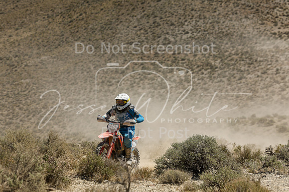 IMG_3337-n40r