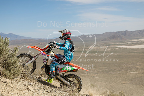 IMG_3811-n14l