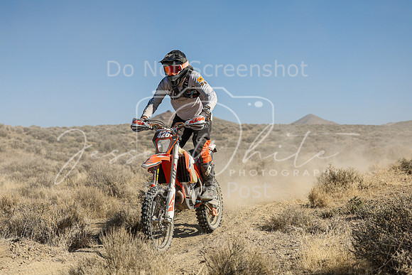 IMG_7540-426m