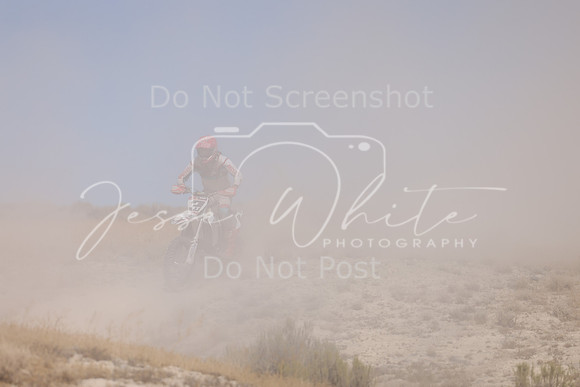 IMG_3616-3t