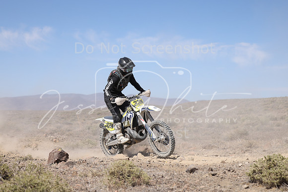 IMG_3698-33n
