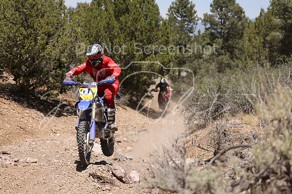 IMG_4762-t1