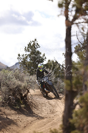 IMG_8963-nt397