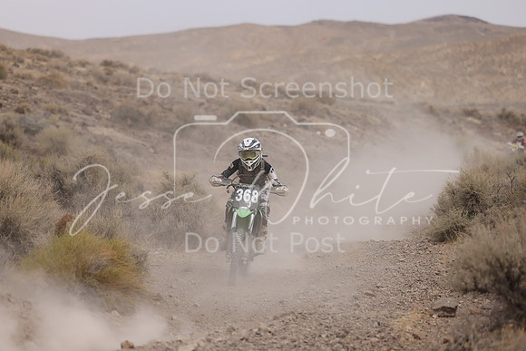 IMG_9025-368j
