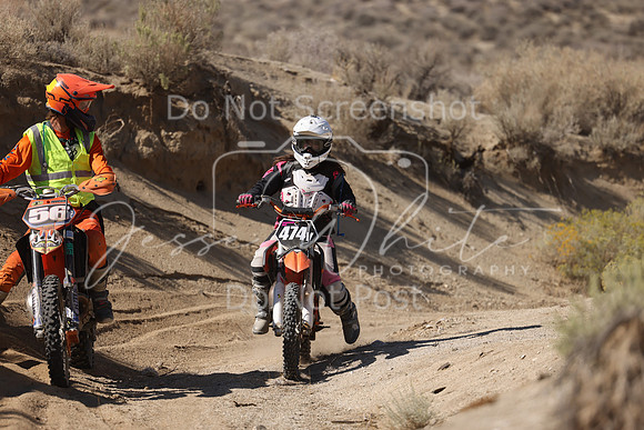 IMG_6950-474v