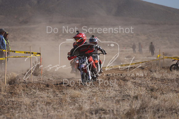 IMG_7201-104z