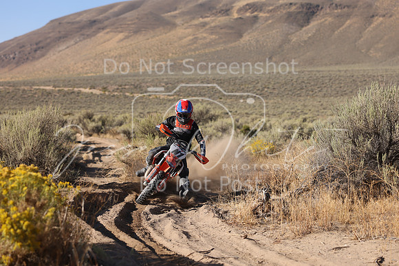 IMG_0284-n1