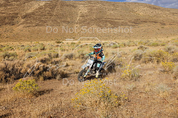 IMG_0920-210z