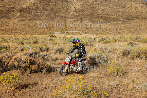 IMG_0930-385f