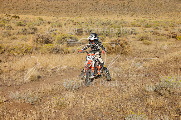 IMG_0955-121z