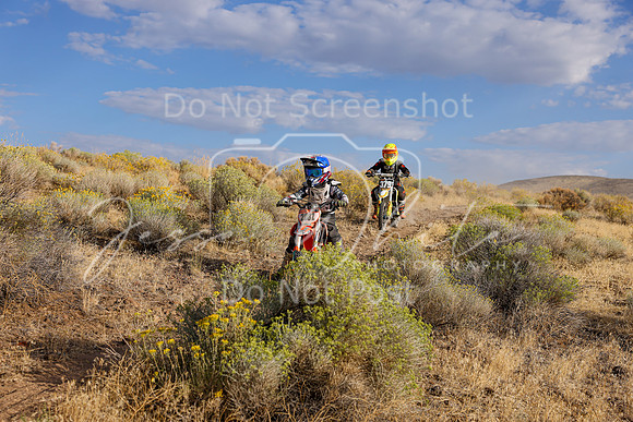 IMG_0980-208z