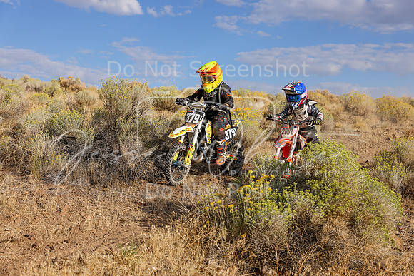 IMG_0982-208z-379y