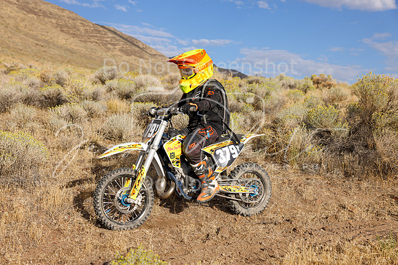 IMG_0984-379y
