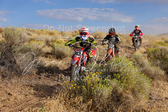 IMG_0988-242f