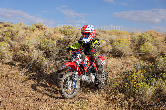 IMG_0991-242f