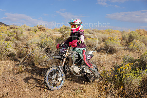 IMG_0995-802y