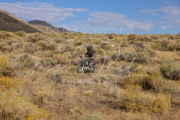 IMG_1049-160f