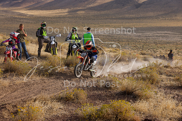 IMG_1084-375y