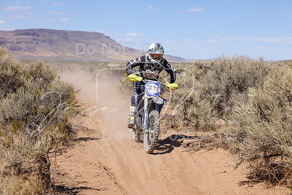 IMG_2398-311x