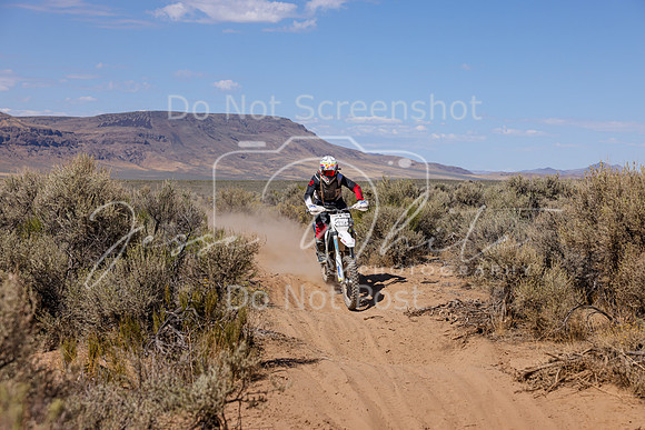 IMG_2442-44s