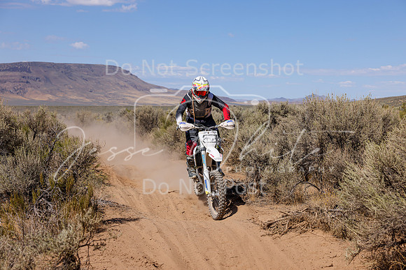 IMG_2446-44s