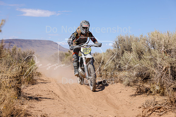 IMG_2537-802c