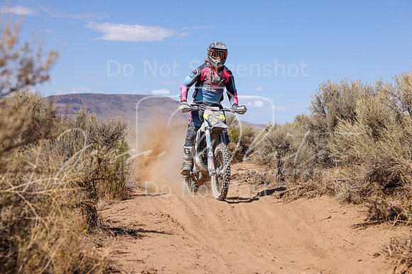 IMG_2547-85n