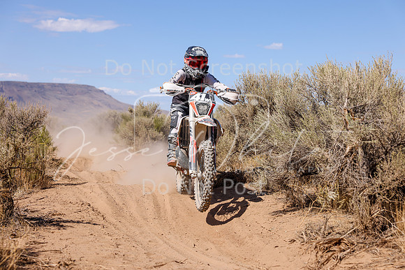 IMG_2588-41w