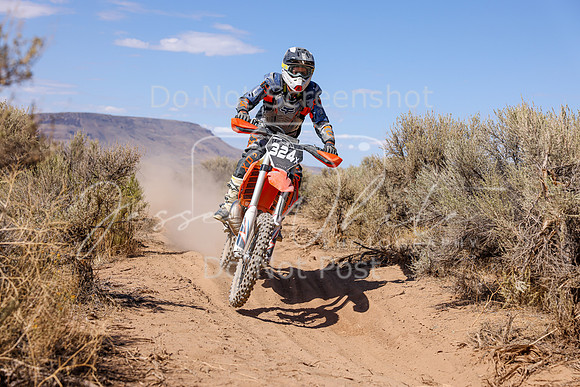 IMG_2598-324x