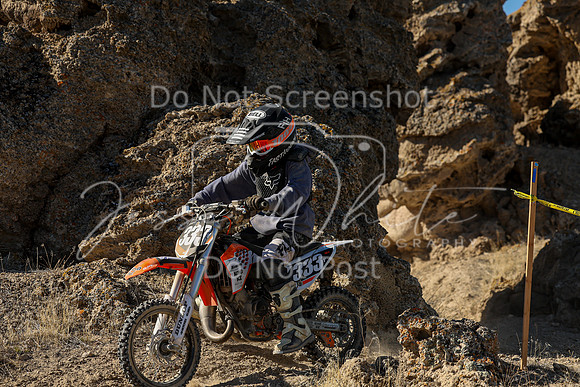 IMG_5509-333y